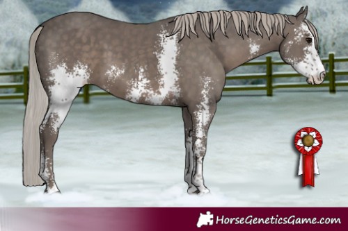 Horse Color:Silver Black Sabino 