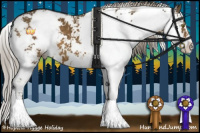 Horse Color:Chocolate Palomino Sabino 