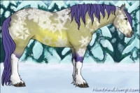 Horse Color:Watercolor Buckskin Ice 