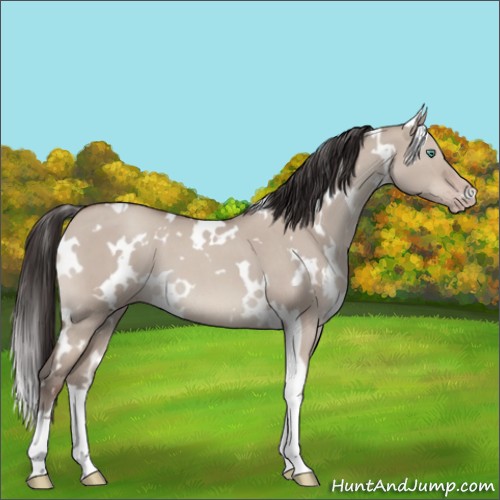 Horse Color:White Spotted Classic Champagne Roan Dun Mushroom