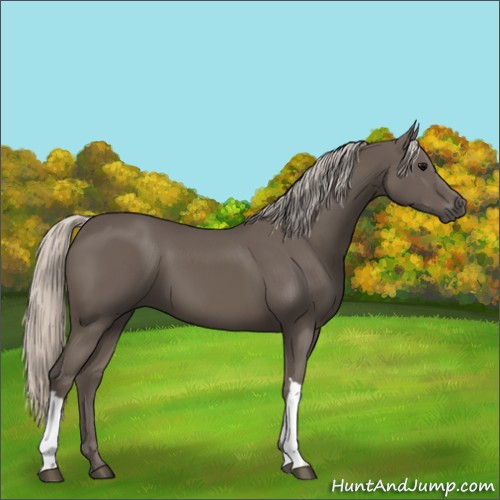 Horse Color:Silver Black 