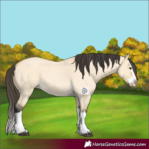 Horse Color:Buckskin Roan Dun Splash 
