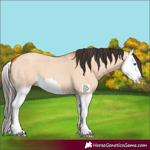 Horse Color:Bay Roan Dun Splash 
