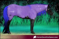 Horse Color:Void Watercolor Grullo Splash 