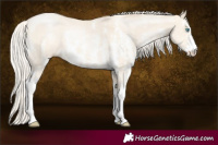 Horse Color:Silver Smoky Grullo Pearl Sabino