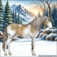 Horse Color:White Spotted Chocolate Palomino Roan Dun 