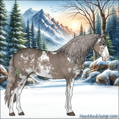 Horse Color:Silver Grullo Sabino Rabicano 