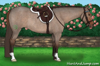 Horse Color:Liver Red Dun Roan Rabicano