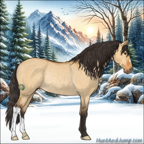 Horse Color:Buckskin Dun Rabicano 