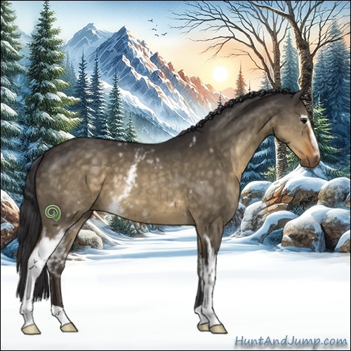 Horse Color:White Spotted Buckskin Dun 