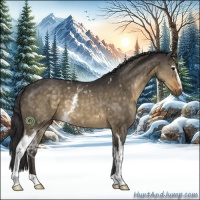 Horse Color:White Spotted Buckskin Dun 
