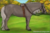 Horse Color:Silver Black 