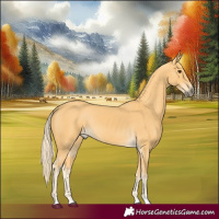 Horse Color:Palomino 