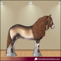 Horse Color:Liver Red Onyx Rabicano 