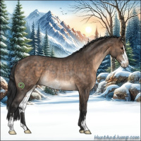 Horse Color:Brown Dun Sabino Rabicano Brindle