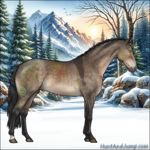 Horse Color:Brown Dun 