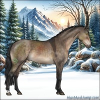 Horse Color:Brown Dun
