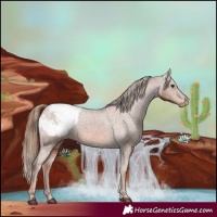 Horse Color:Chestnut Snowcap
