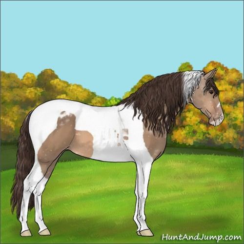 Horse Color:Bay Dun Tobiano Varnish