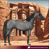 Horse Color:Smoky Blue Roan 