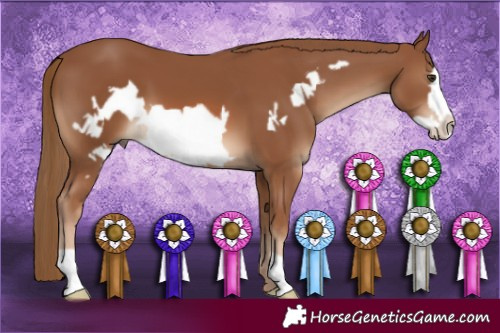 Horse Color:Chestnut Frame