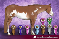 Horse Color:Chestnut Frame