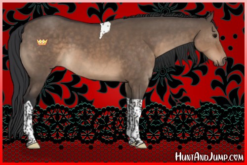 Horse Color:Brown Dun Tobiano 