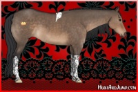 Horse Color:Brown Dun Tobiano 