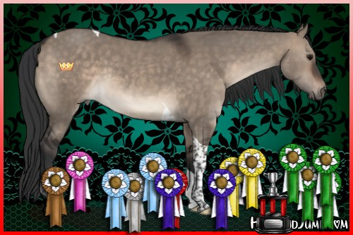 Horse Color:Brown Dun Tobiano 