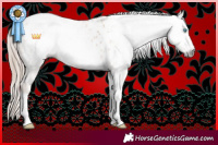 Horse Color:Gray Sable Champagne Pearl Tobiano Appaloosa Rabicano