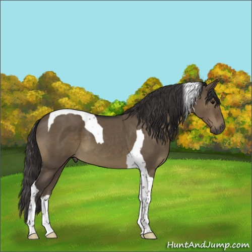 Horse Color:Smoky Grullo Tobiano 