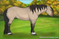 Horse Color:Brown Dun 