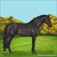 Horse Color:Brown 
