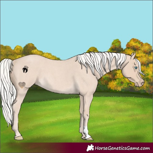 Horse Color:Silver Smoky Creme Roan 