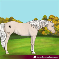 Horse Color:Silver Smoky Creme Roan 