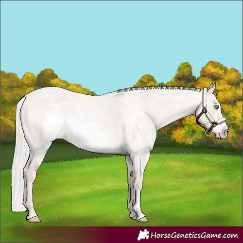 Horse Color:Silver Smoky Creme Roan Frame 
