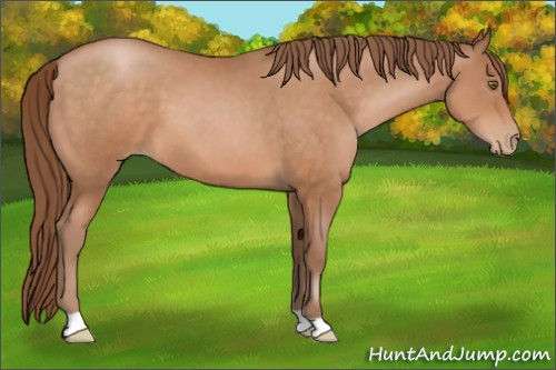 Horse Color:Brown Pearl 
