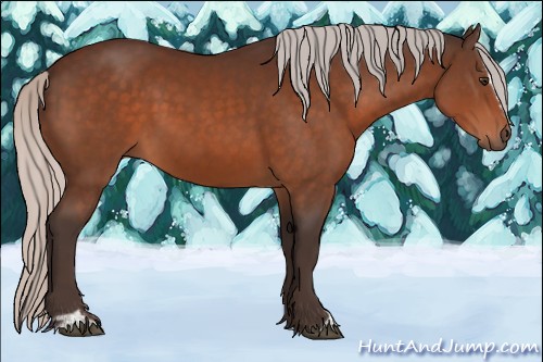 Horse Color:Silver Brown Sabino 