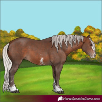 Horse Color:Silver Brown Sabino