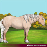 Horse Color:Silver Amber Champagne Roan 
