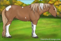 Horse Color:Chestnut Tobiano