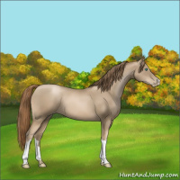 Horse Color:Smoky Black Pearl 