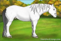 Horse Color:White Spotted Black 