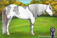Horse Color:White Spotted Silver Amber Champagne Chinchilla Ice Dun Frame and Black Ice Appaloosa Rabicano