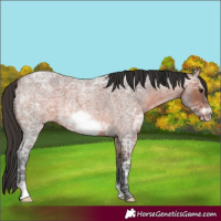 Horse Color:Brown Ice Roan Frame 