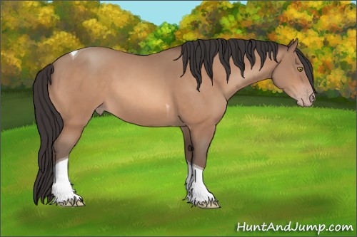 Horse Color:Sable Champagne Tobiano 