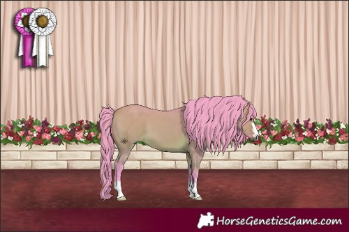 Horse Color:Watercolor Buckskin Dun 