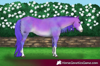 Horse Color:Watercolor Bay 