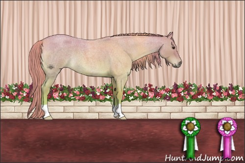 Horse Color:Watercolor Red Roan