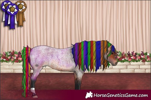 Horse Color:Painted Bay Roan 